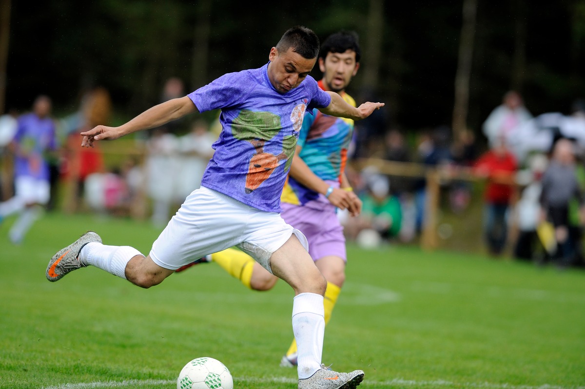 Forest Pitch photo